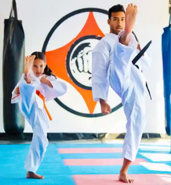Premium Karate Mats | Gravolite
