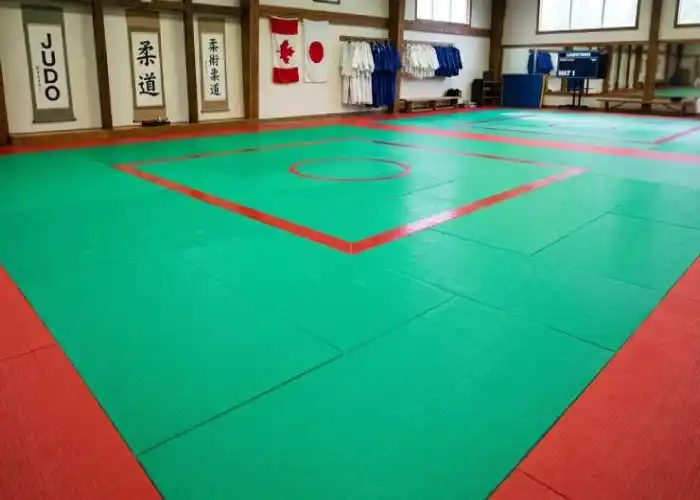 Comprehensive Judo Arena Gear