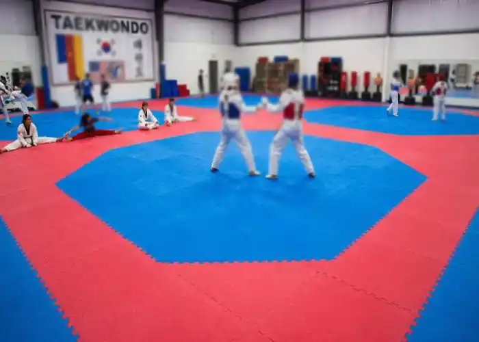 Advanced Martial Arts Flooring Technology