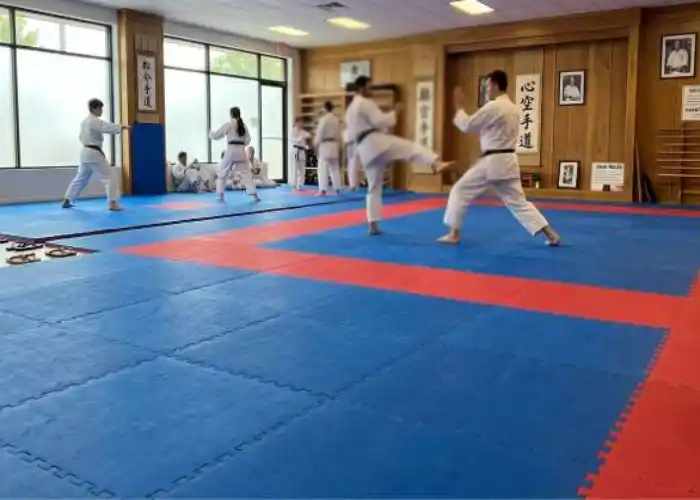 Advanced Kumite & Kata Flooring Technology