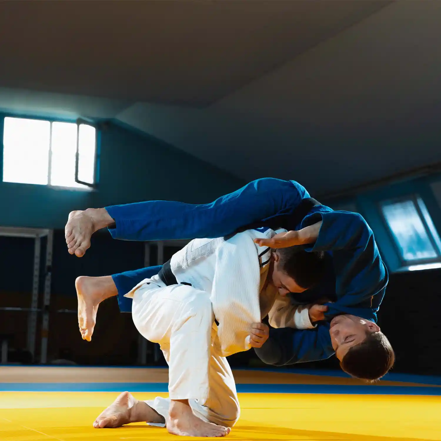 Judo Mats