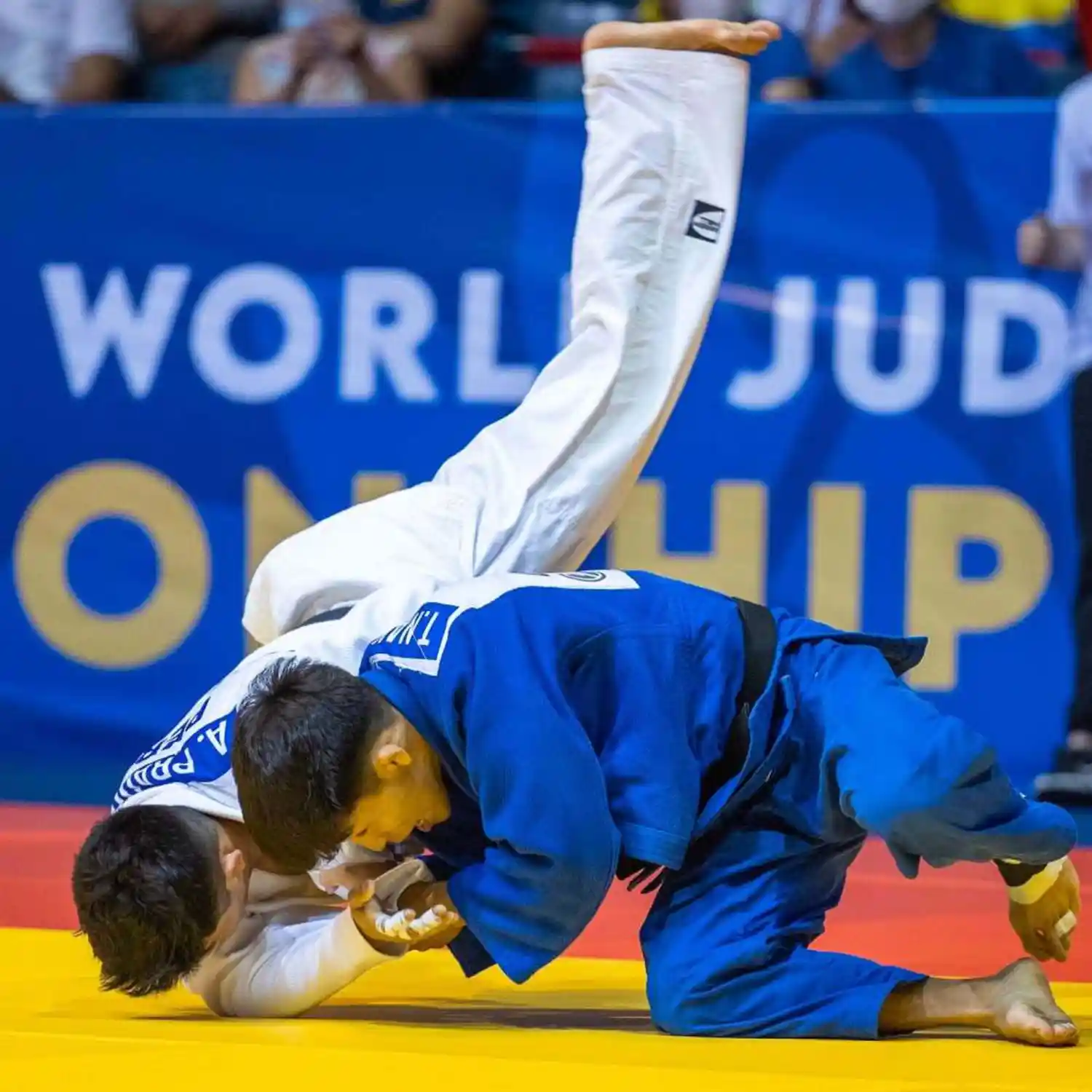 Competition Judo Mats