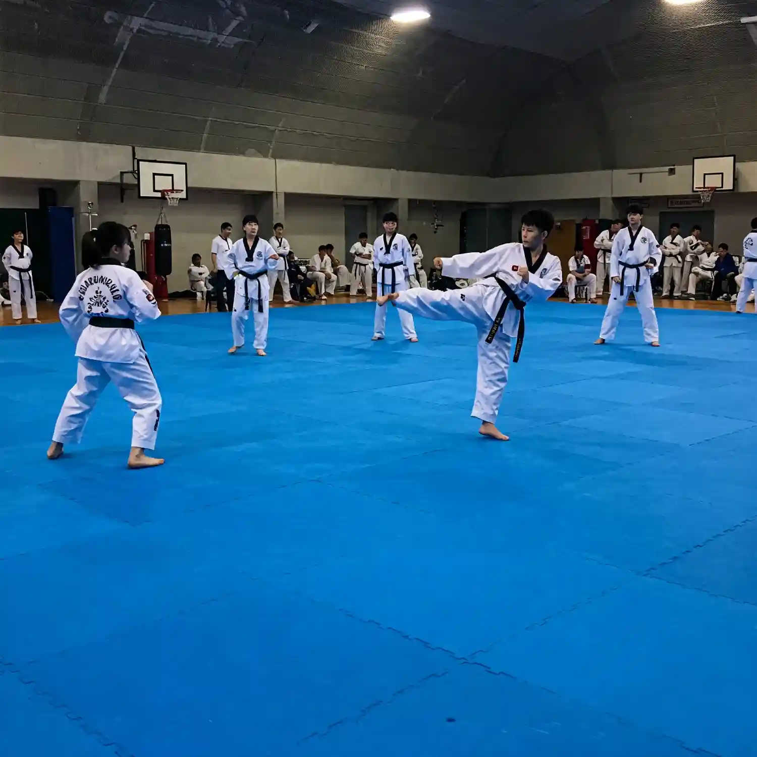 Training Mat Taekwondo 
