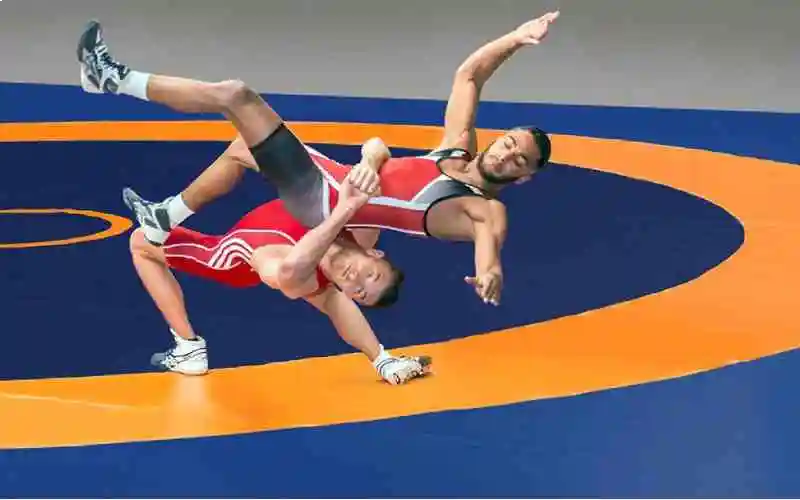 Wrestling Mats Manufacturer