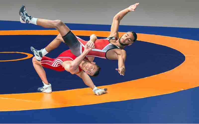 Wrestling Mats Manufacturer