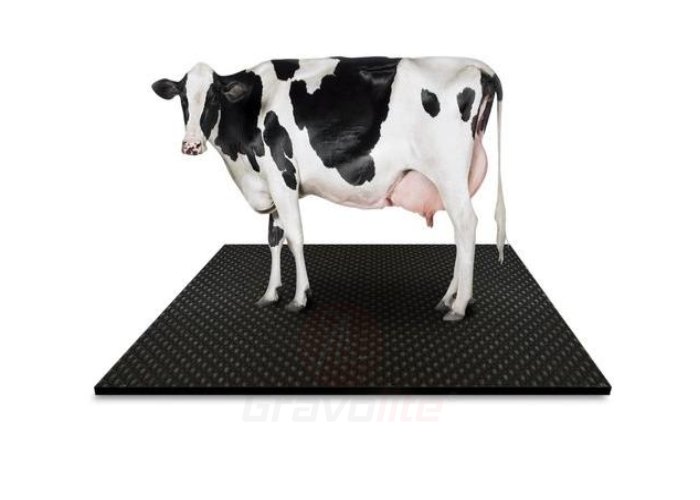 Cow Mat