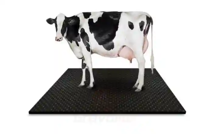 Cow Mat